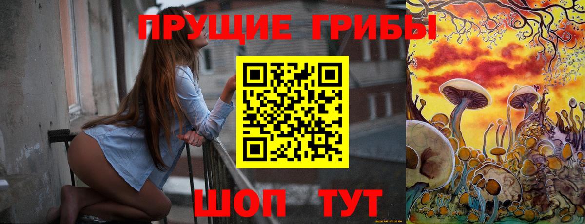 Псилоцибиновые грибы Psilocybine cubensis  Вход с VPN  Светлоград 